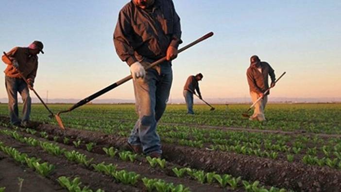 Tarımsal Girdi Fiyatlarındaki Artış Yüzde 36,65'e Ulaştı