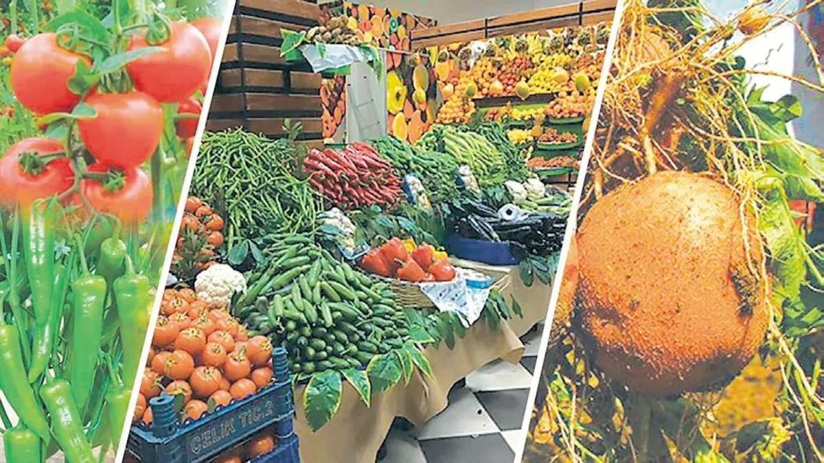 Tarla ile Market Arasındaki Fiyat Farkı Rekor Kırdı