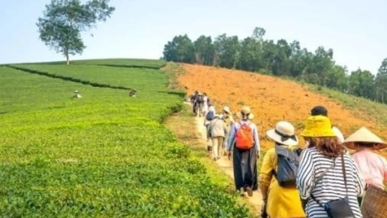 Tarladan Sofraya Eko-Savunma: Agro-Turizm Yükseliyor
