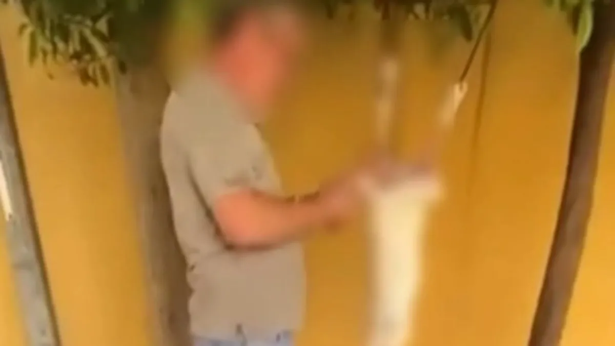Tavşanın Derisini Yüzen Şüpheli Gözaltına Alındı