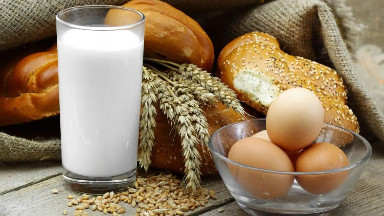Tavuk eti üretimi mayısta çakıldı, yumurta rekor kırdı