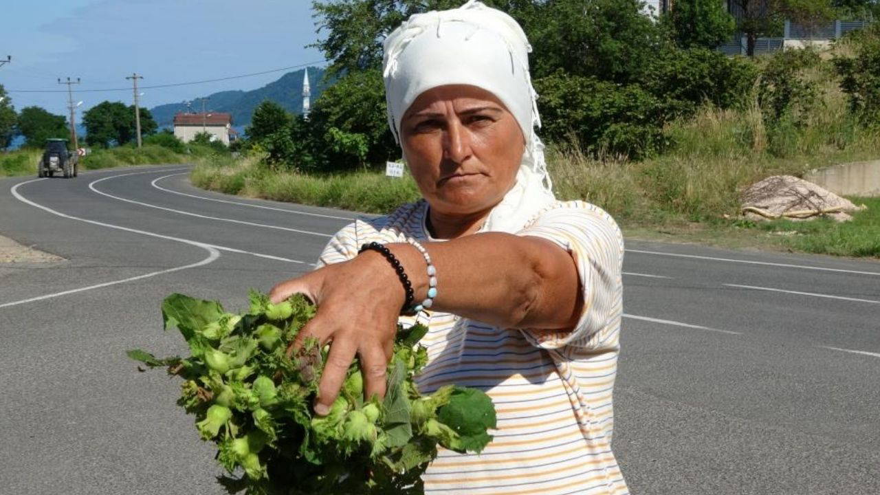 Taze fındık tezgahlarda: Kilosu 200 TL