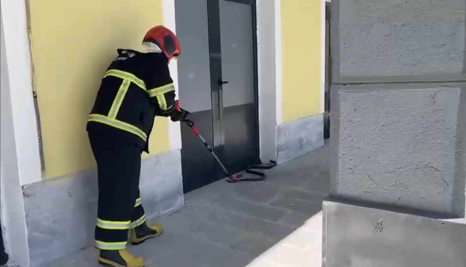 TCDD binasında yılan paniği! Ekipler harekete geçti
