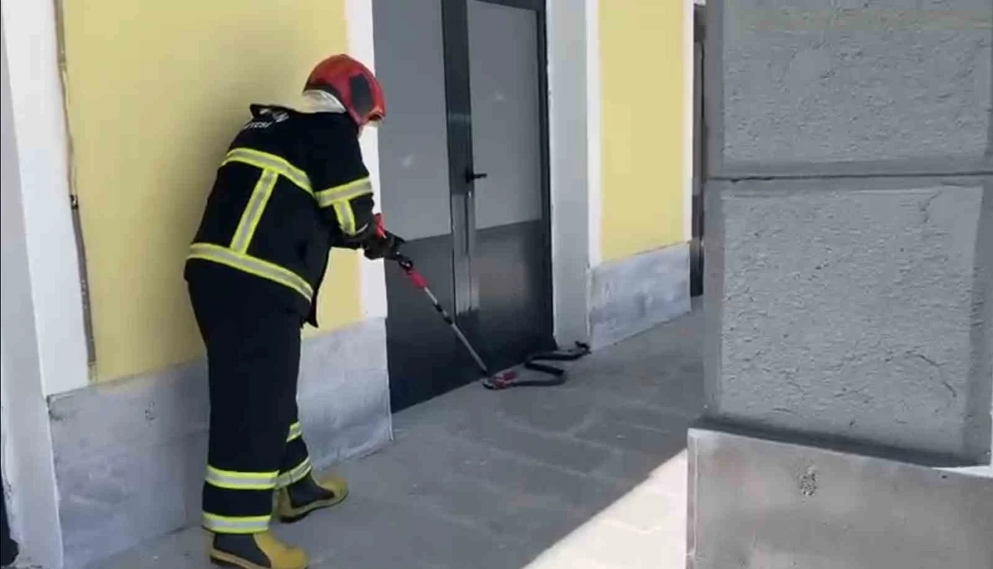 TCDD Hizmet Binasında Yılan Paniği: İtfaiye Ekipleri Müdahale Etti