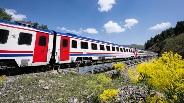 TCDD otla mücadele için rayları ilaçlayacak