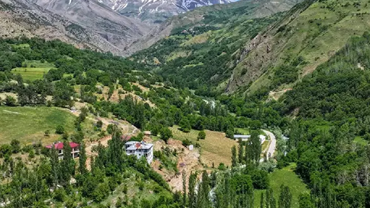 Tek başına yılda 2 ton çilek üretiyor: Cesur girişimci kadın başardı