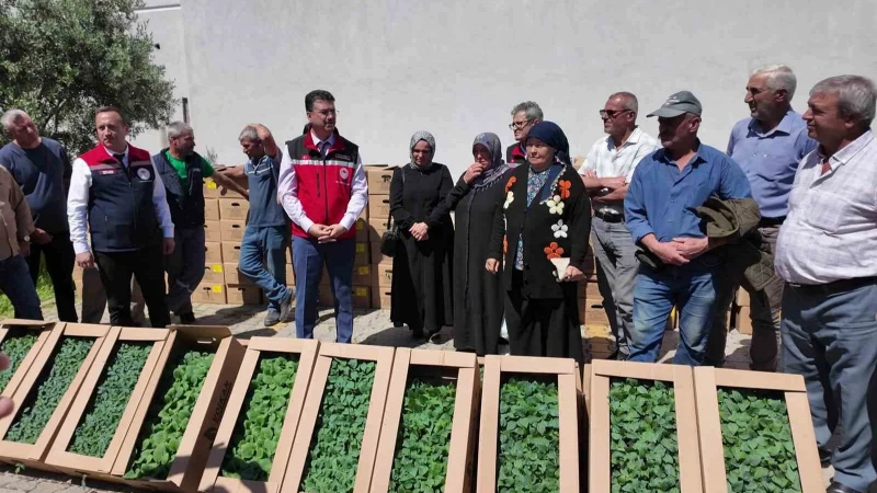 Tekirdağ'da 407 Üreticiye 256 Bin Yazlık Sebze Fidesi Dağıtıldı