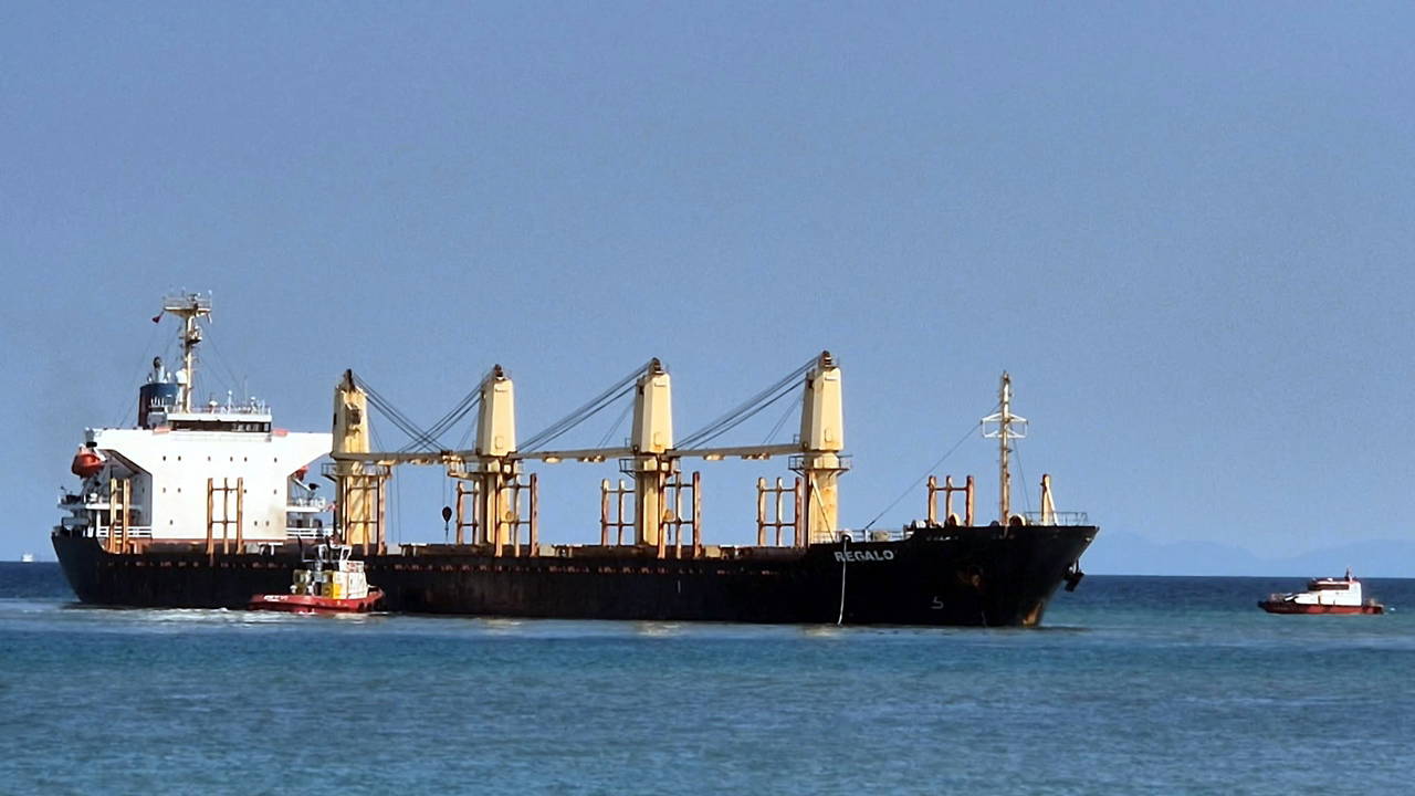 Tekirdağ açıklarında kuru yük gemisi karaya oturdu: Kurtarma çalışması sürüyor