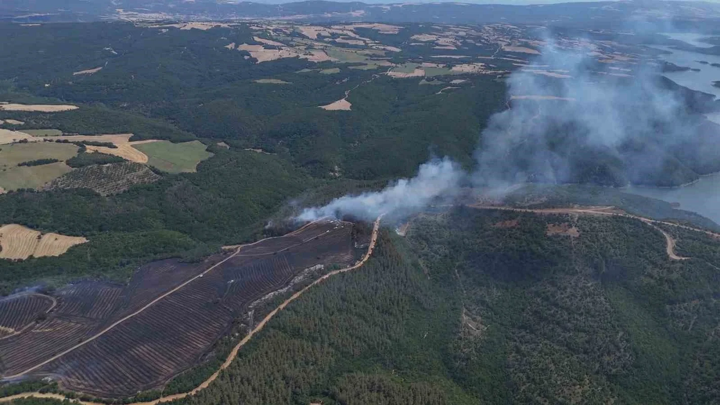 Tekirdağ'da anız yangını ormana sıçradı: Dron görüntüleri ortaya çıktı