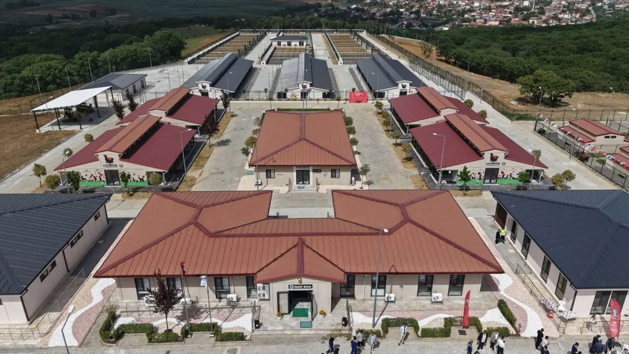 Tekirdağ Büyükşehir Belediyesi sokak hayvanlarına kapsamlı destek sunuyor