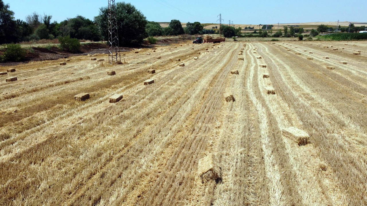 Tekirdağ'da orman yangınlarına karşı balya ve ateş yasağı
