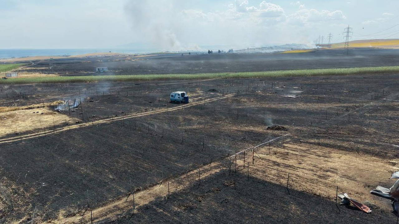 Tekirdağ'da yangın faciası: 700 dönüm tarım arazisi ve 20 konteyner küle döndü