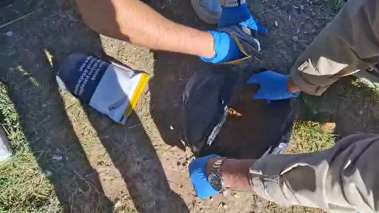 Tekirdağ'da Uyuşturucu Operasyonu: Güvercin Kümesinde 392 Gram Amfetamin
