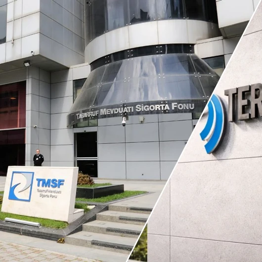 Tera Yatırım Teknoloji Holding'e TMSF Kayyumu