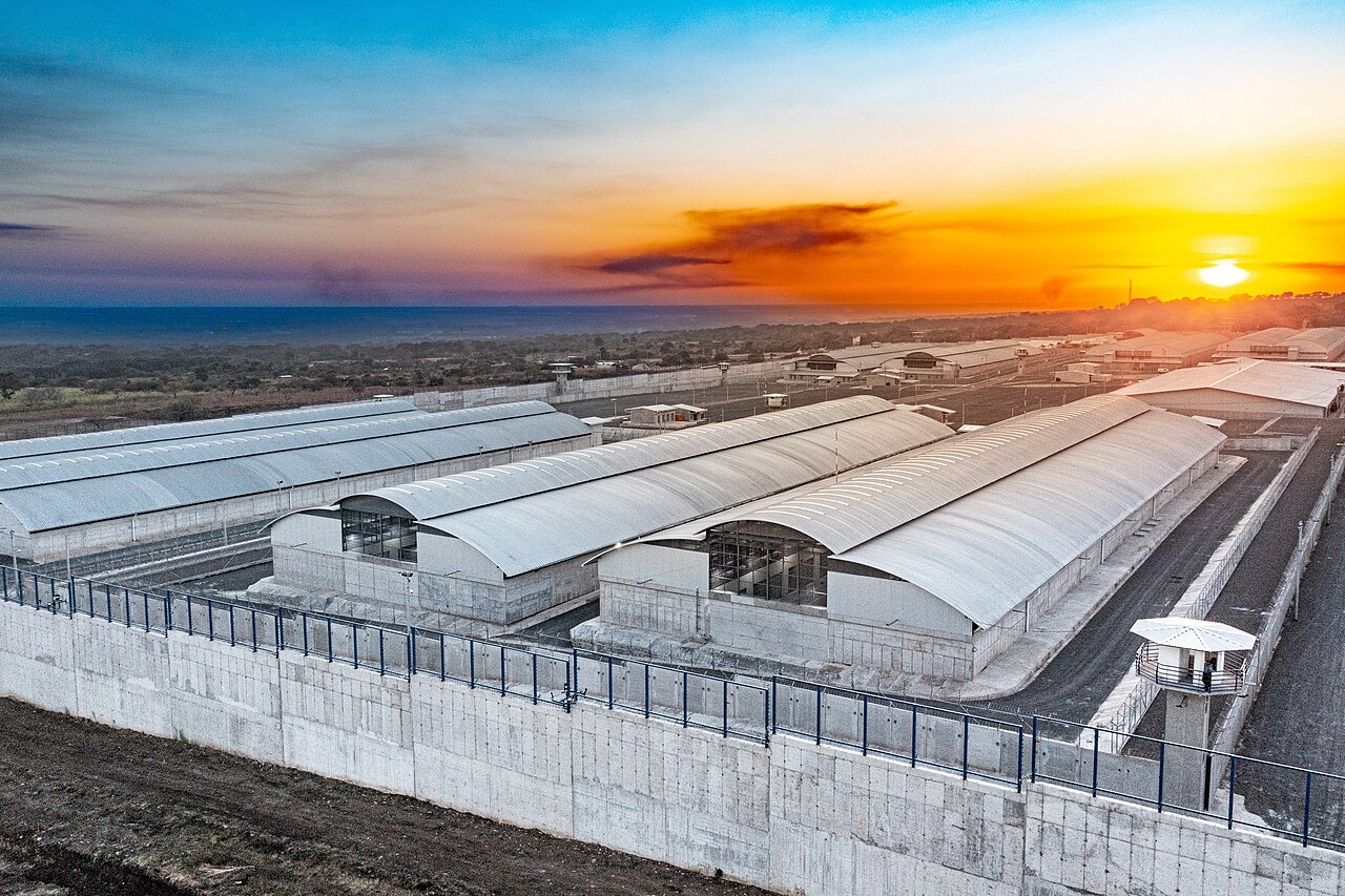 Terör operasyonlarında 103 şüpheli tutuklandı
