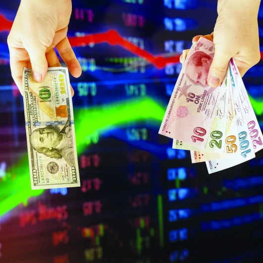 TL Mevduat Bir Ayda 7,4 Milyar Dolar Arttı: Fon Soruşturması Sonrası Yön Değişti