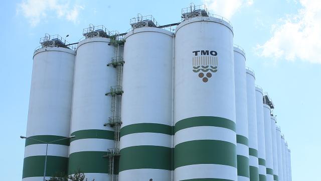 TMO'dan rekor hububat alımı ve ödemesi