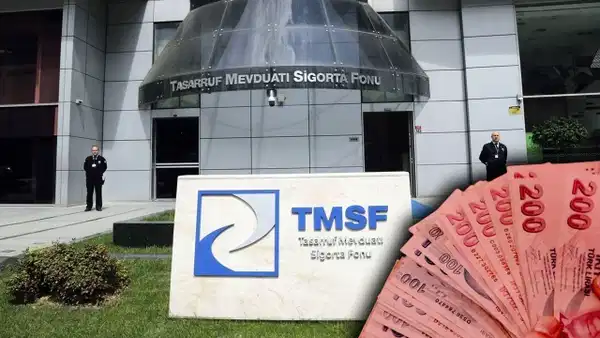 TMSF, Assan Group Makine Savunma Sanayi'nin varlıklarını satışa çıkardı