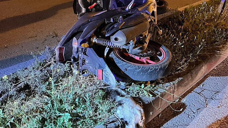 Tokat'ta motosikletli, kediye çarpmamak için manevra yapınca hayatını kaybetti
