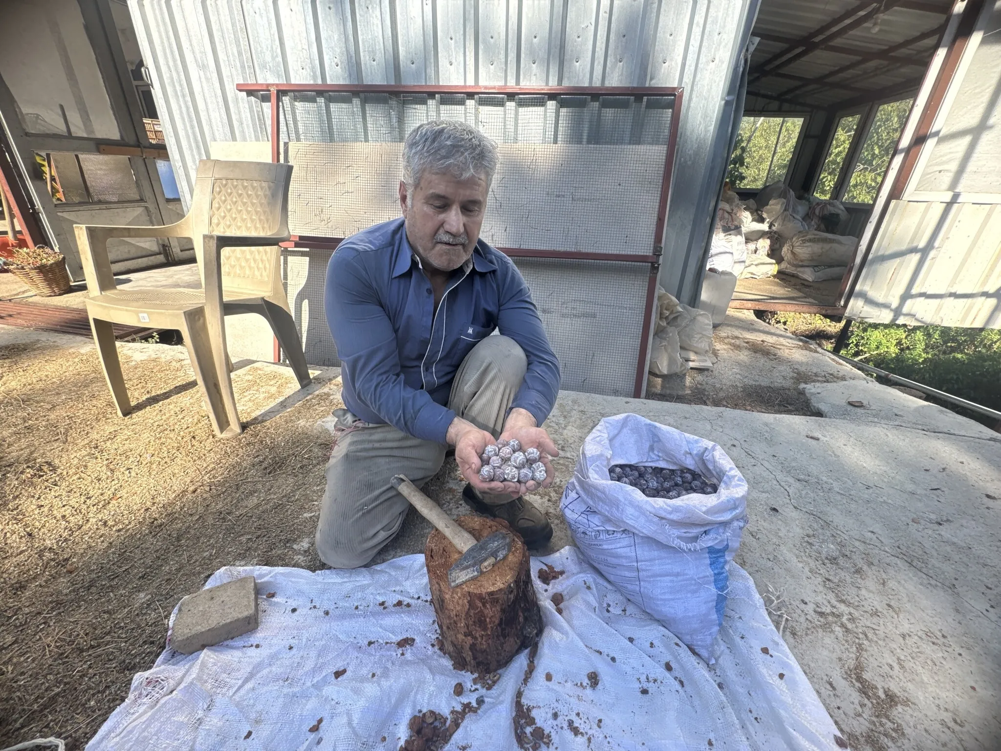 Toroslar'da andız pekmezi: 5 kilo kozalaktan 1 kilo çıkıyor, 500 liradan satılıyor