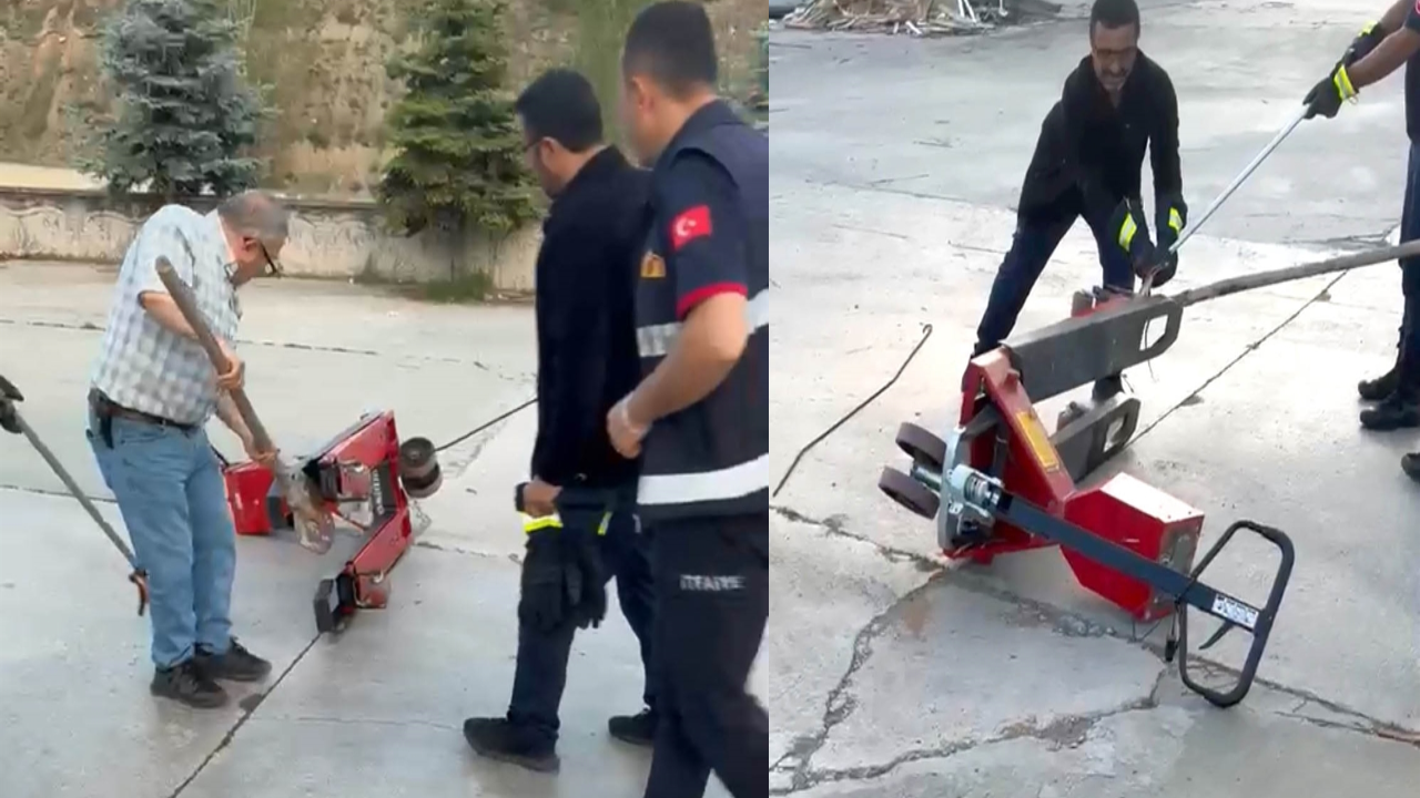 Tosya'da fabrikaya giren yılan itfaiye tarafından yakalandı