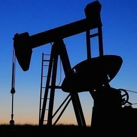 TPAO'nun Şırnak petrol arama ruhsatı 2028'e uzatıldı
