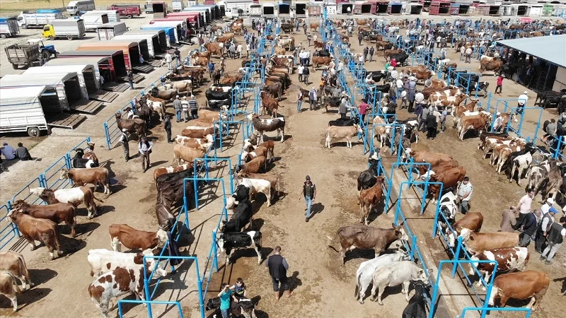 Trabzon'da Kurban Keserken Kalp Krizi: 1 Kişi Hayatını Kaybetti