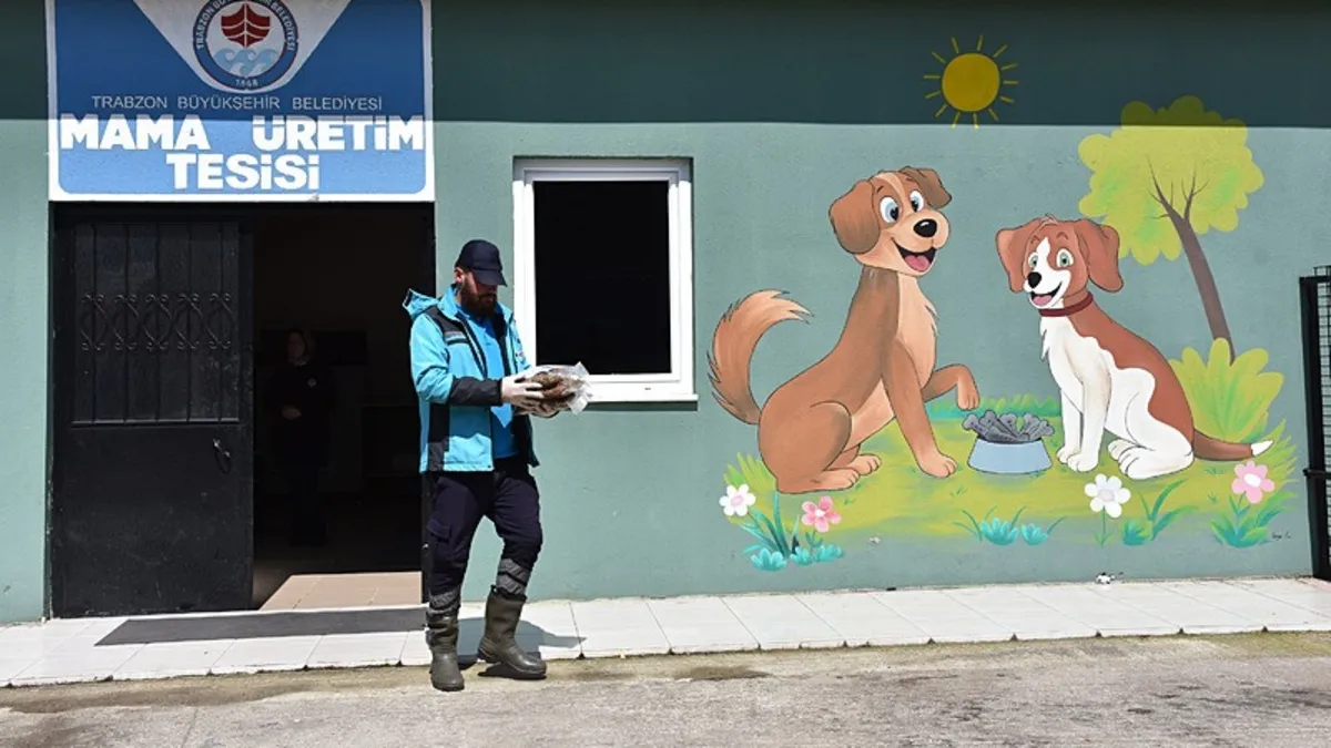 Trabzon'da 126 Yavru Köpek Sahipsiz Hayvan Bakımevinde Şefkat Buluyor
