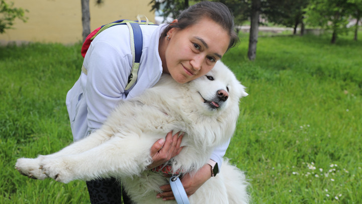 Köpeğini Kaybeden Sahip, Tazminat Davasını Kazandı