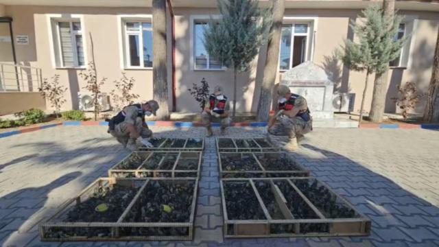 Traktör römorkunda 2 bin saka kuşu yakalandı, 19,8 milyon lira ceza