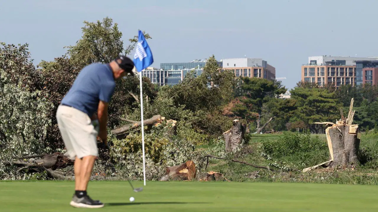 Trump'ın golf sahası ağaç kesimine mahkeme freni