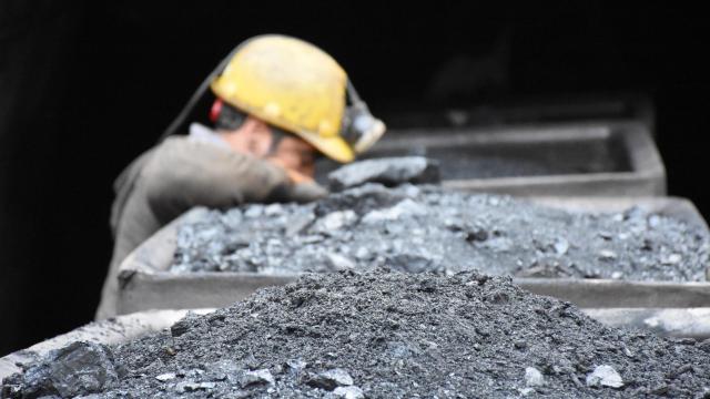 TTK Zonguldak ve Bartın'a 61 Daimi İşçi Alacak