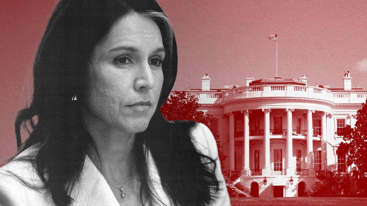 Tulsi Gabbard COVID-19'un Kökenine Dair Gizli Belgeleri Açıkladı