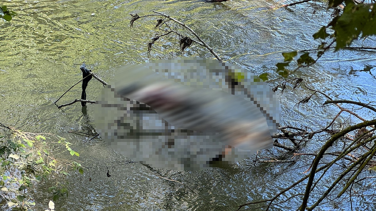 Tunca Nehri'nde İkinci Ceset de Bulundu: Soruşturma Sürüyor