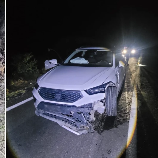 Tunceli-Erzincan yolunda cip ayıya çarptı: Hayvan öldü