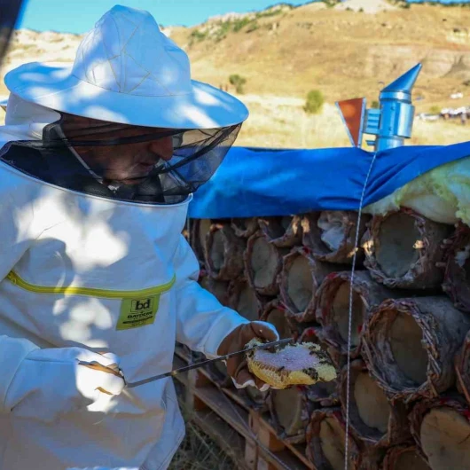 Tunceli'de Bal Sağımı Başladı: 900 Ton Rekolte Bekleniyor