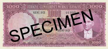 Türk Lirası gelişmekte olan piyasalarda popülerliğini koruyacak