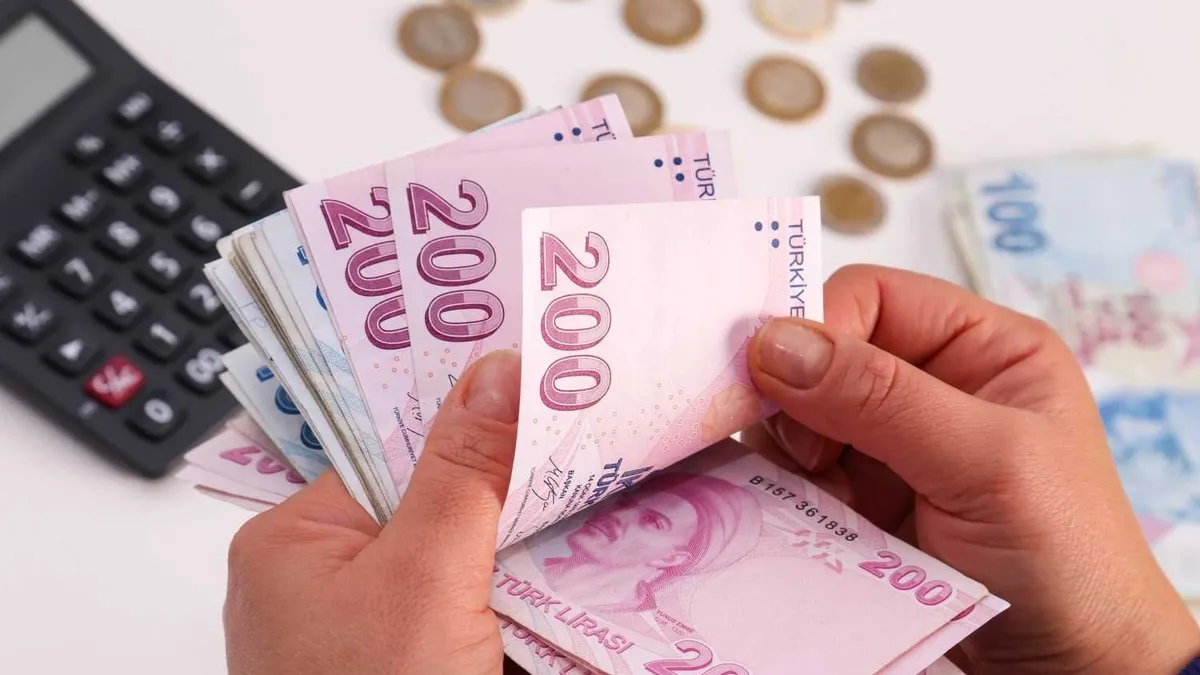 Türk Lirası Mevduatta Tarihi Zirve: Pay Yüzde 62'ye Ulaştı
