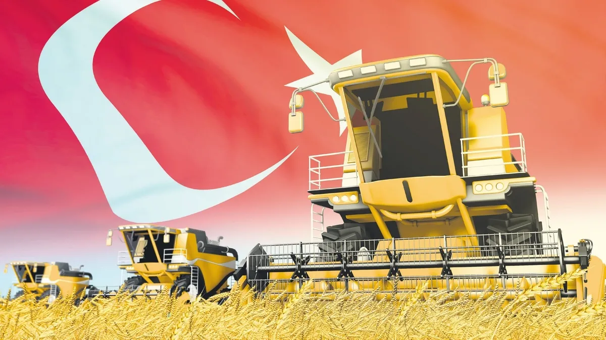 Türkiye buğdayda tarih yazmaya hazırlanıyor