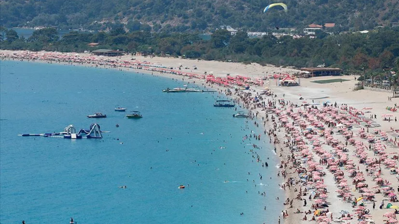Türkiye denizlerinde pusu böcekleri yüzde 70 arttı, sağlık tehdidi büyüyor