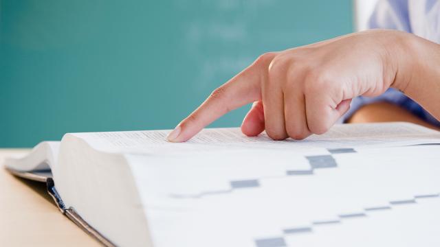 Türkiye'de eğitim seviyesi yükseldi: Ortalama eğitim 9,6 yıl, yükseköğretim mezun oranı %45,6
