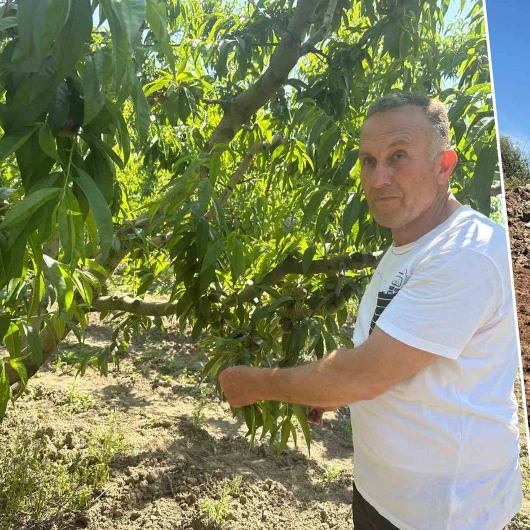 Türkiye'nin üretim üssünde hayvansal gübre ile verim yüzde 30 arttı
