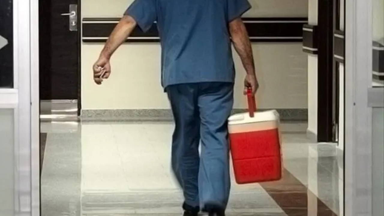 Türkiye'de organ bağışı alarmı: Yapay organ ve hayvandan nakil umudu
