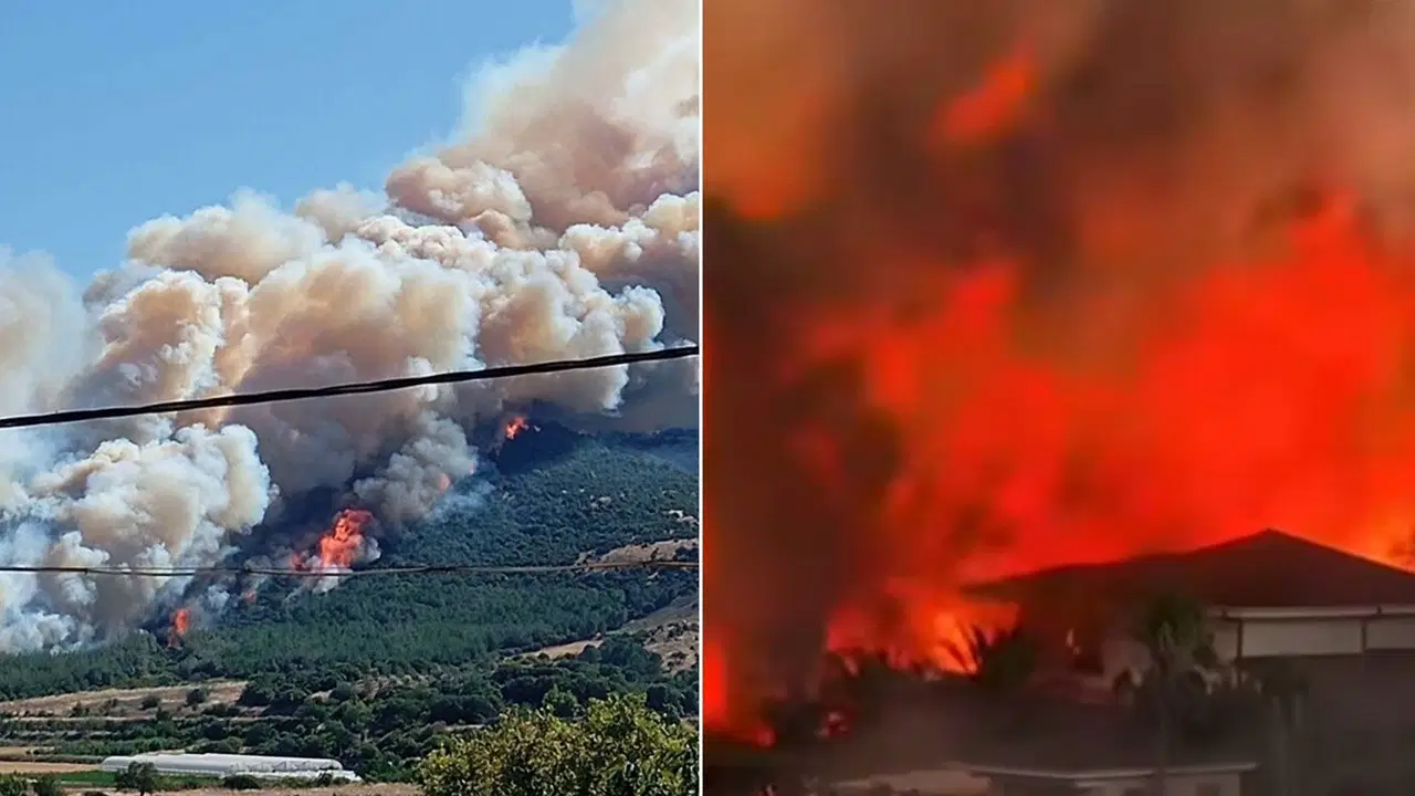Türkiye'nin ciğerleri yanıyor: Orman yangınları birçok kenti etkisi altına aldı