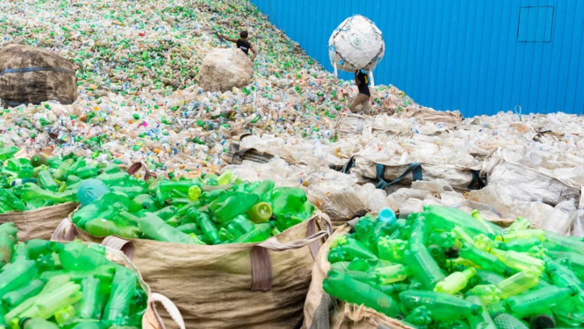Türkiye'nin Plastik Atık İthalatına Sürpriz Denetim: 'Bir Gece Ansızın