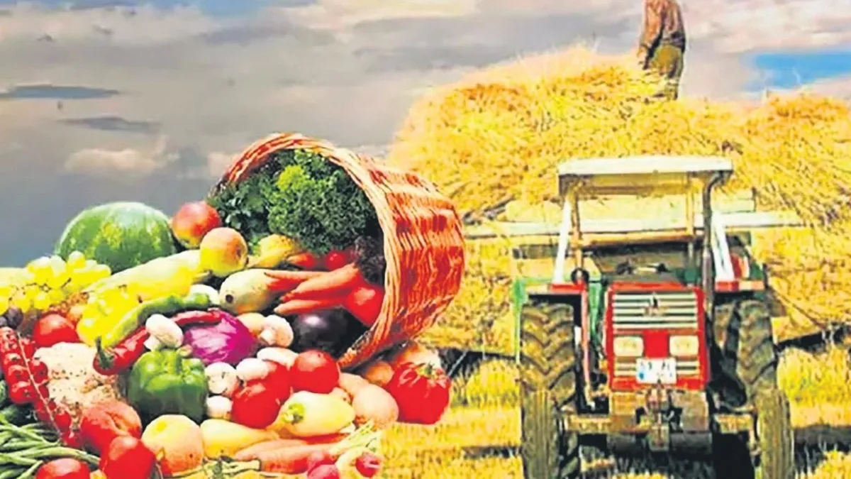 Türkiye tarımsal hasılada 83,2 milyar dolarla rekor kırdı