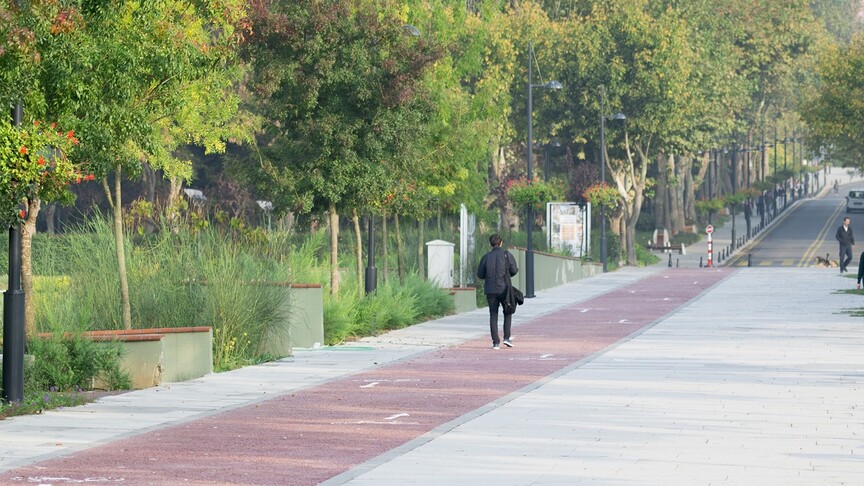Türkiye Yeşil Kampüslerde Avrupa Zirvesinde: UI GreenMetric 2026