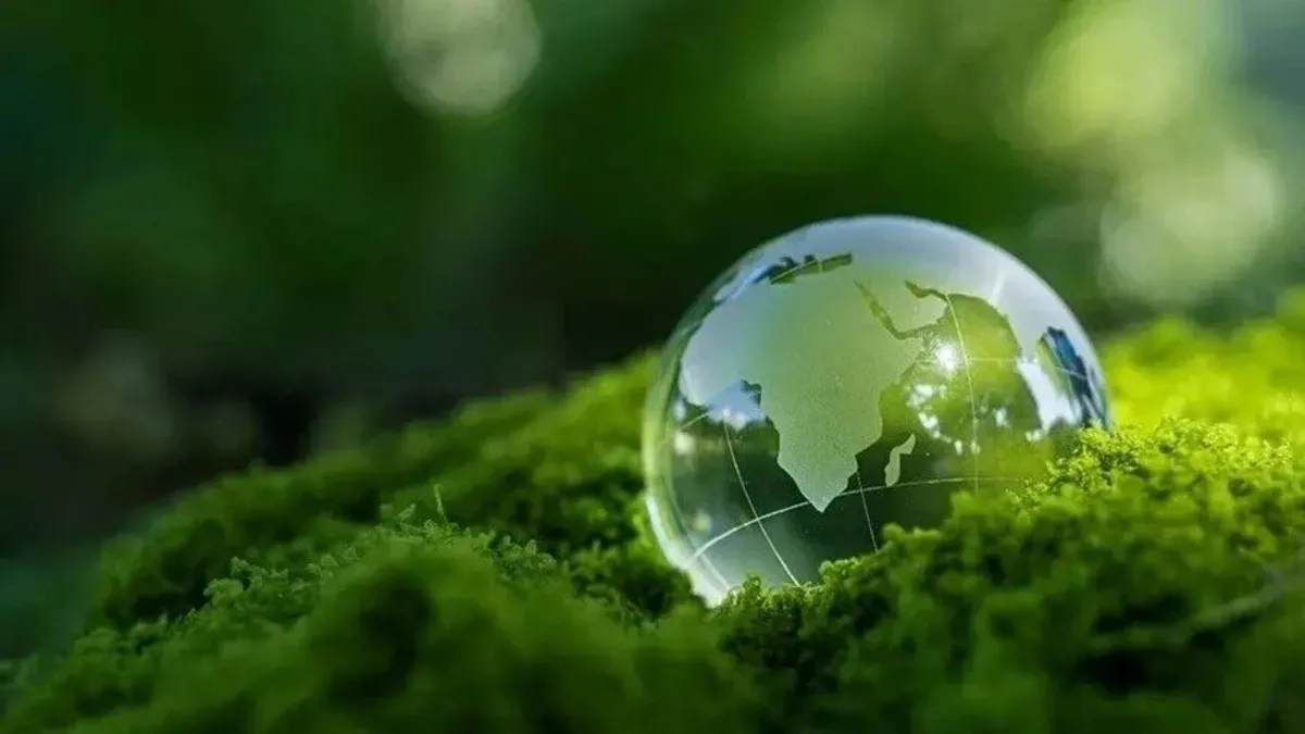 Türkiye Yeşil Taksonomisi Yönetmeliği yayımlandı