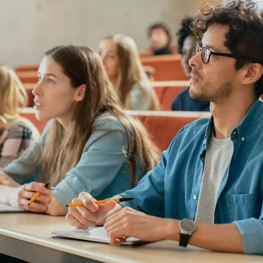 Türkiye Yüzyılında Kırıkkale Üniversitesi için Stratejik Model Önerisi