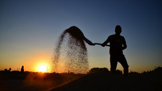 Türkiye'de Sendikalaşma Oranı Yüzde 13,8'e Geriledi